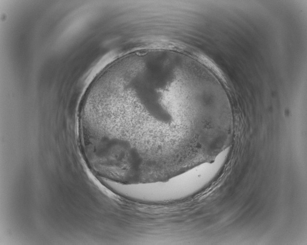 X0000067871095200604171218