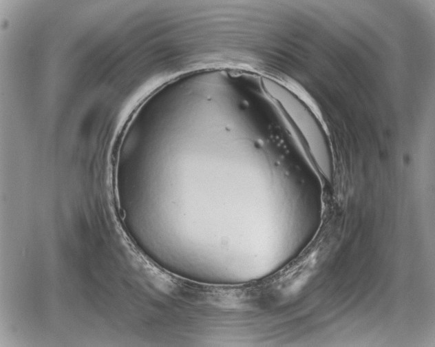 X0000067871096200604171218