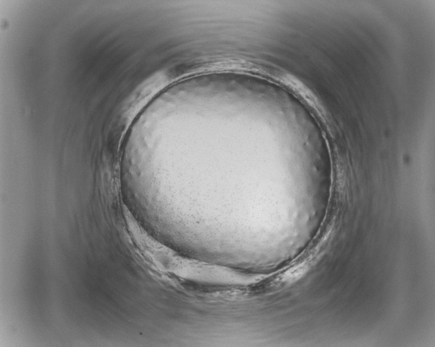 X0000067871097200604171218