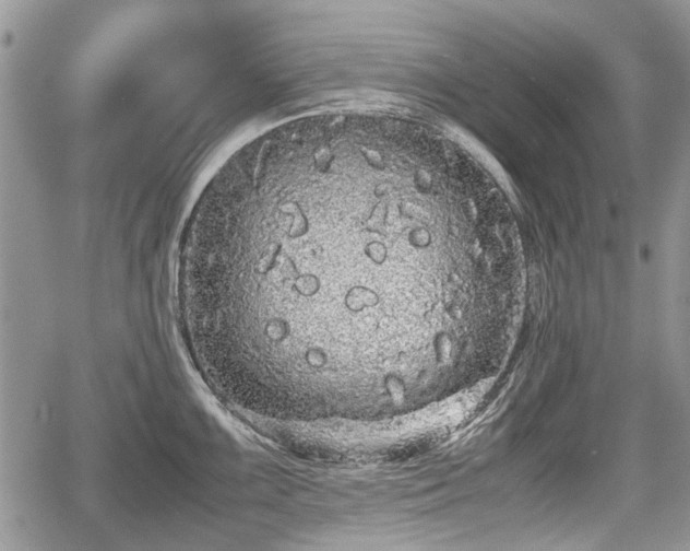 X0000067871099200604171218