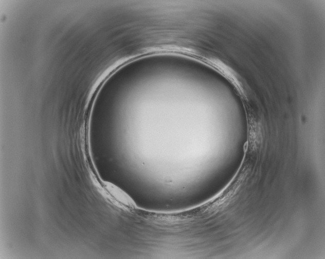 X0000067871100200604171218