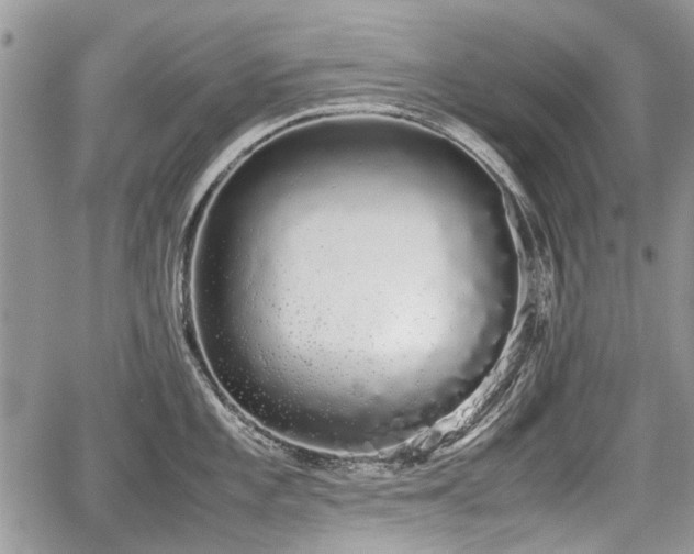 X0000067871101200604171218