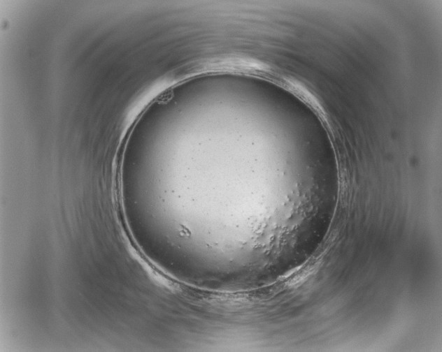 X0000067871103200604171218