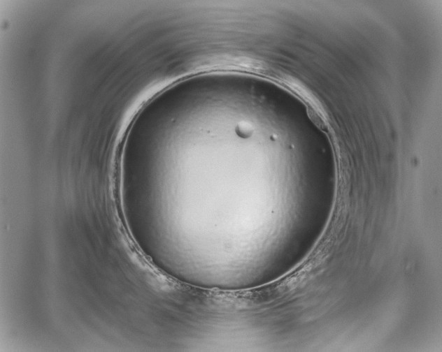 X0000067871104200604171218