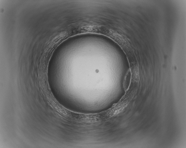 X0000067871105200604171217