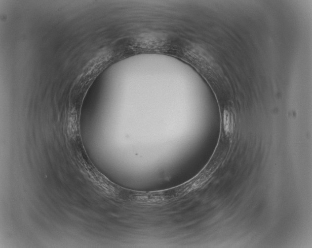 X0000067871107200604171217