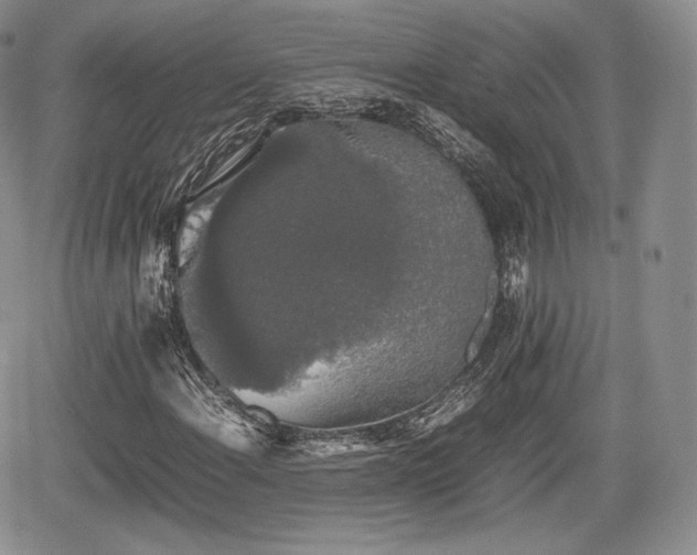 X0000067871108200604171217