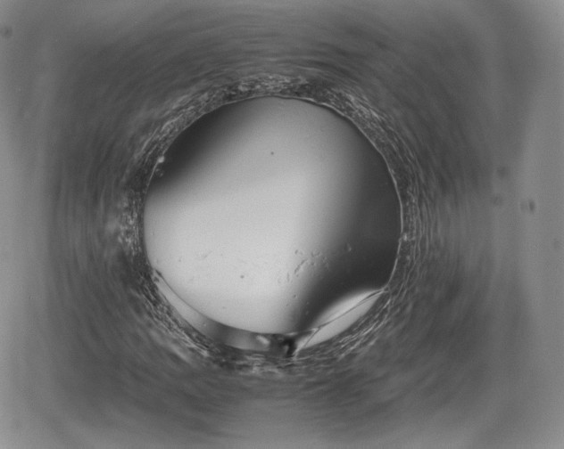 X0000067871109200604171217