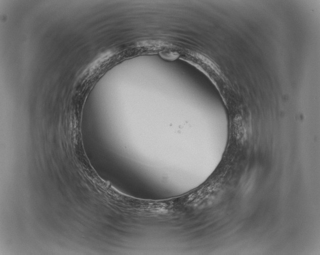 X0000067871111200604171217