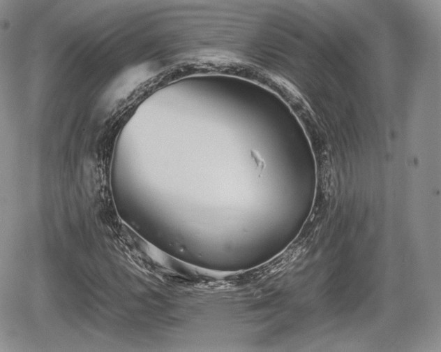 X0000067871112200604171217