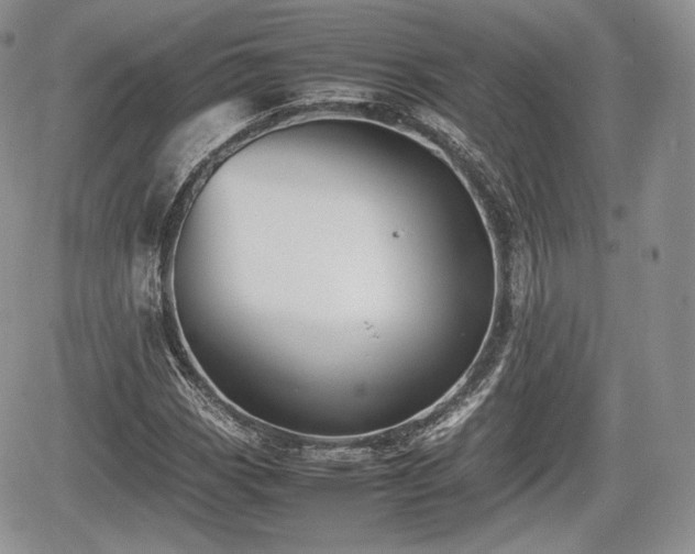 X0000067871113200604171217