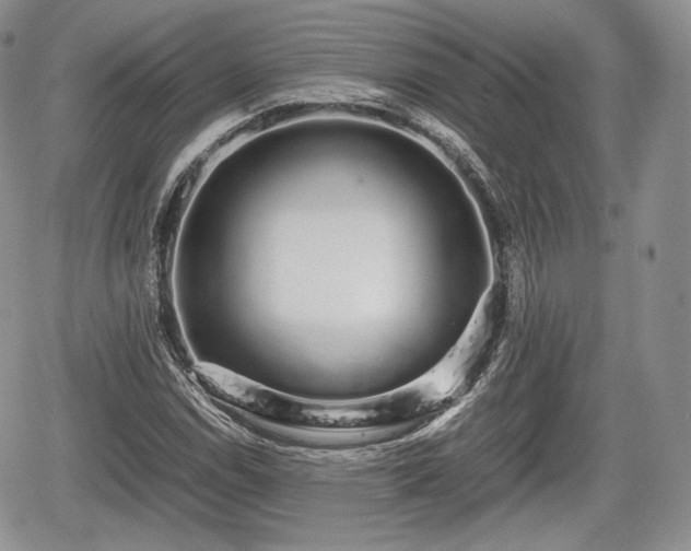 X0000067871114200604171217