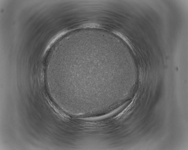 X0000067871115200604171217