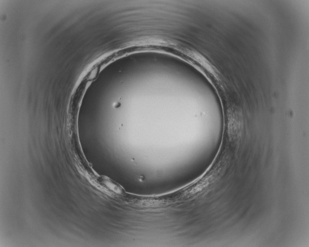 X0000067871116200604171217