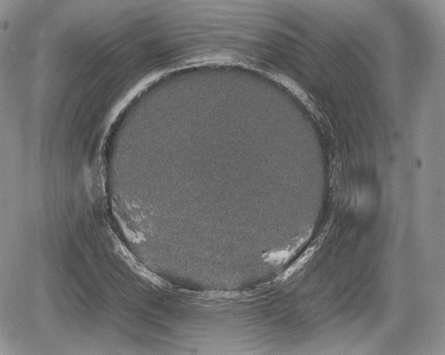 X0000067871118200604171217