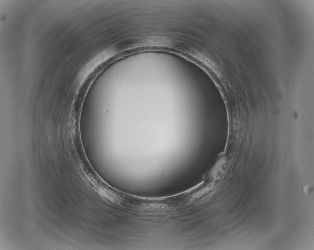 X0000067871119200604171217