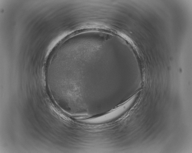 X0000067871120200604171217