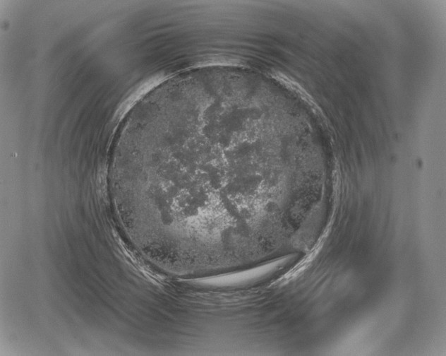 X0000067871121200604171217