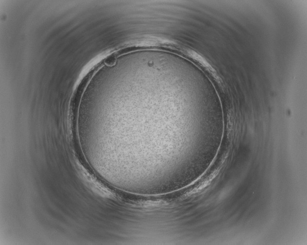 X0000067871122200604171217