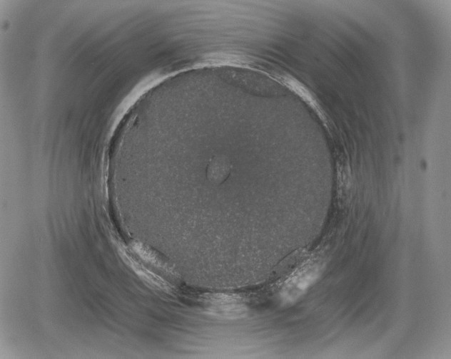 X0000067871124200604171217