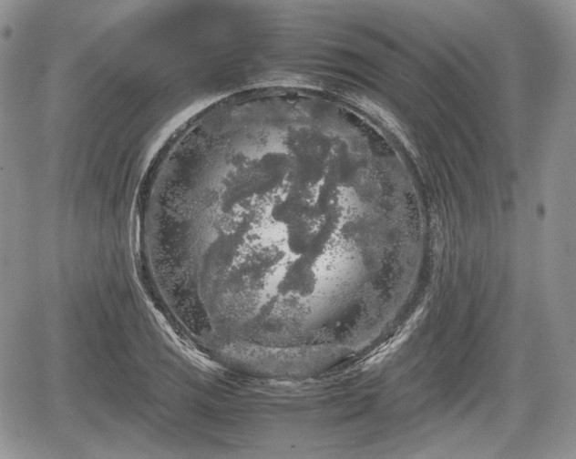 X0000067871125200604171217