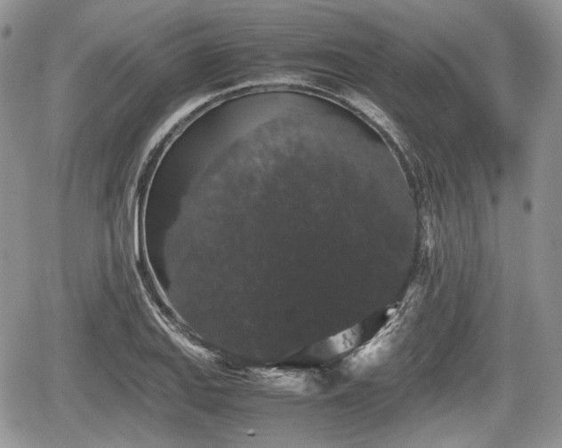 X0000067871127200604171217