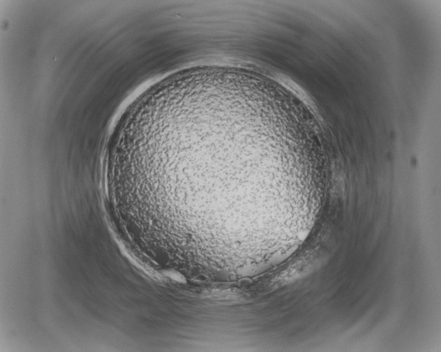 X0000067871128200604171217