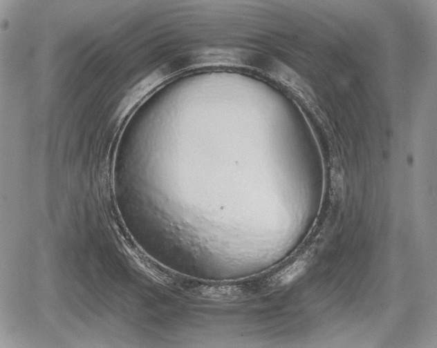 X0000067871129200604171217