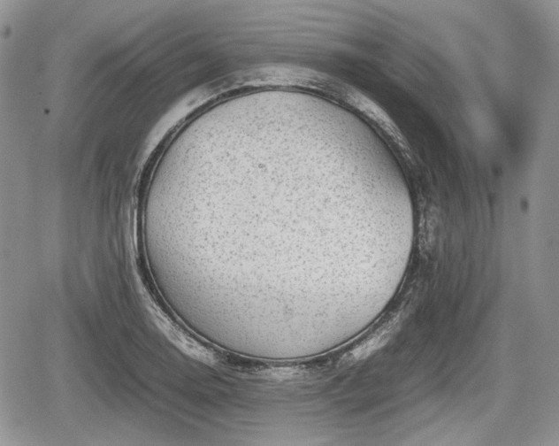 X0000067871130200604171217