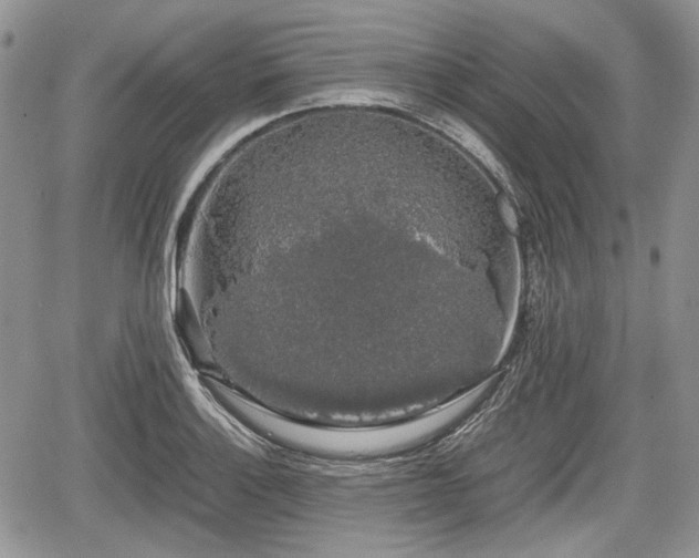 X0000067871132200604171217