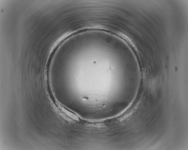 X0000067871133200604171217