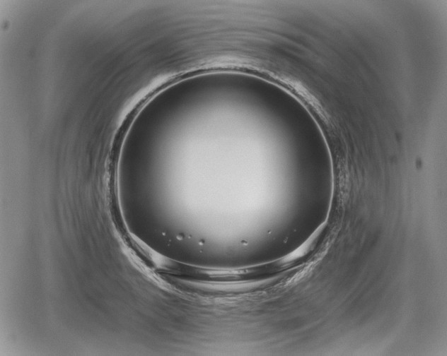 X0000067871134200604171217