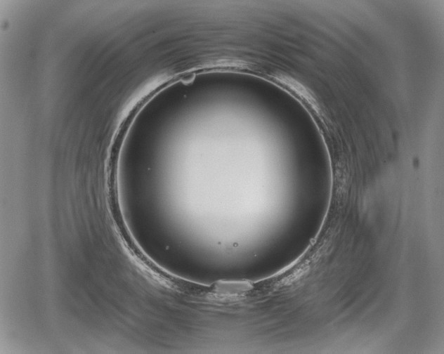 X0000067871135200604171217