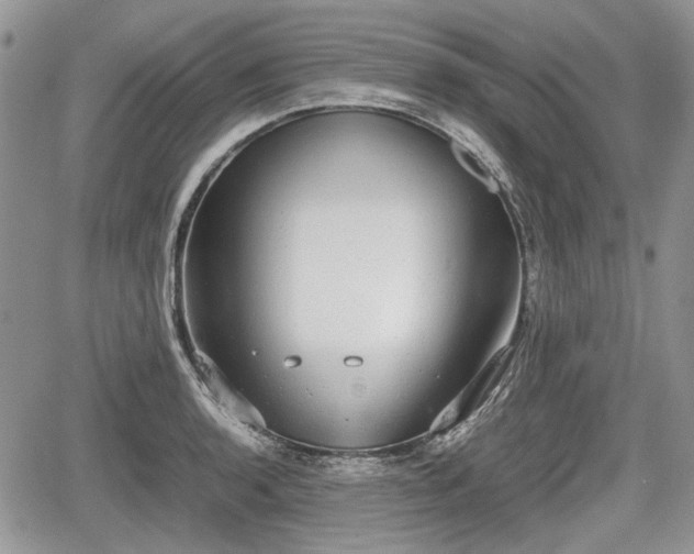 X0000067871136200604171217