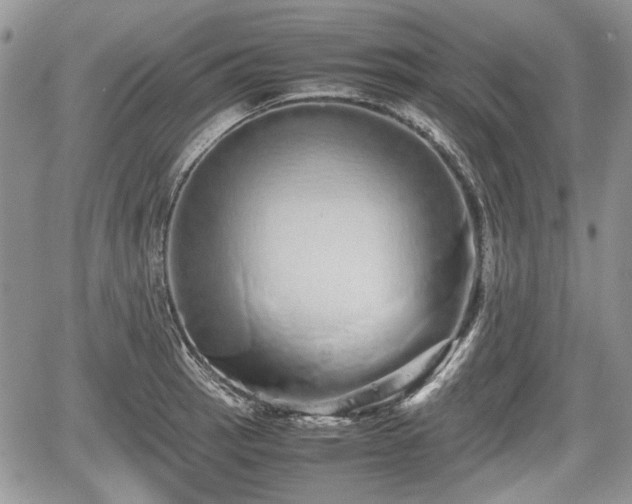 X0000067871137200604171217