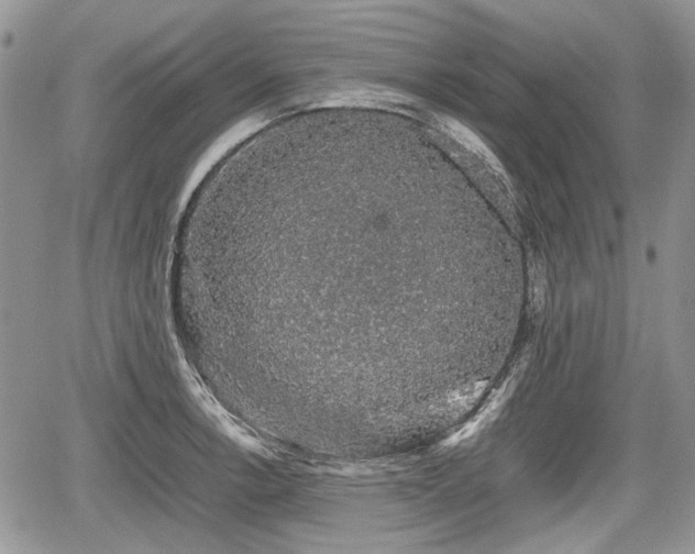 X0000067871138200604171217