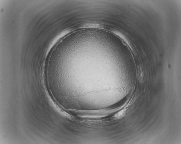 X0000067871139200604171217