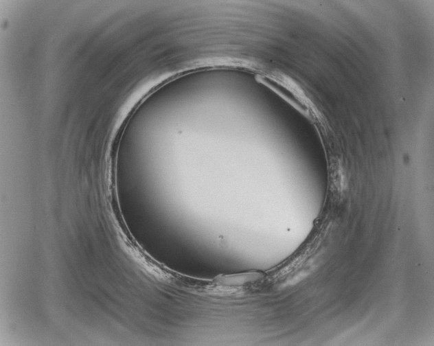 X0000067871140200604171217