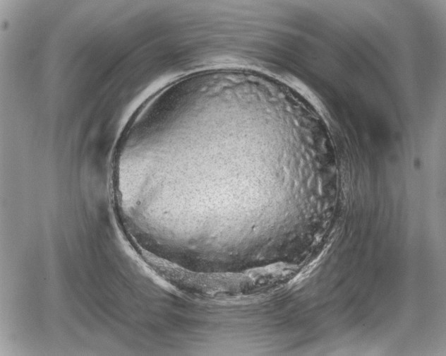 X0000067871142200604171217