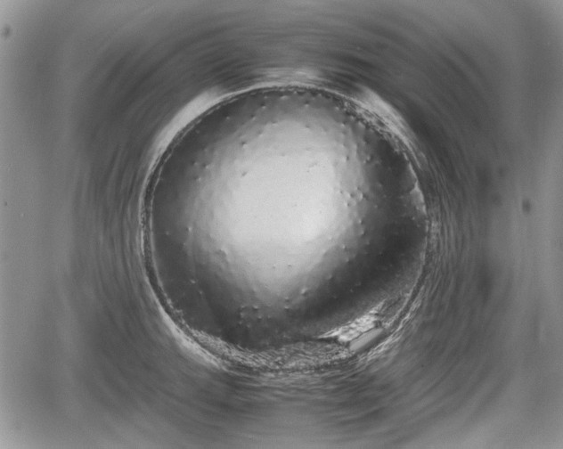 X0000067871143200604171217