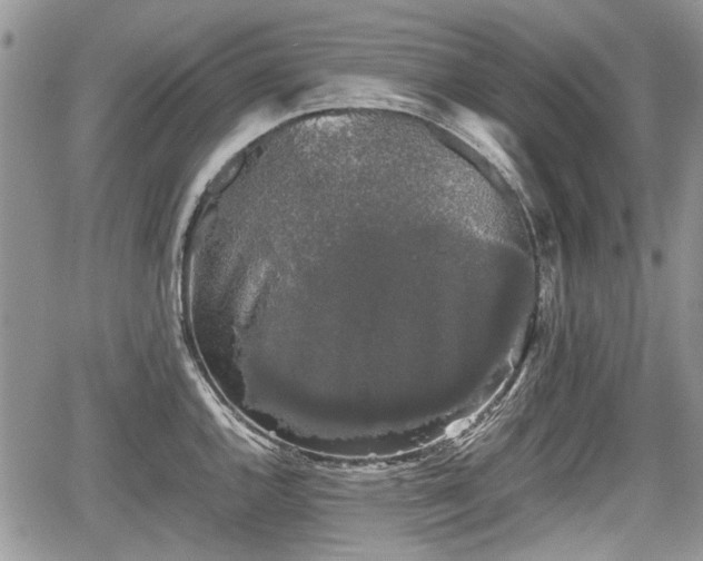 X0000067871144200604171217