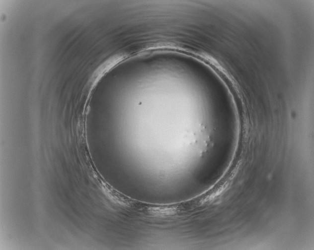 X0000067871145200604171217