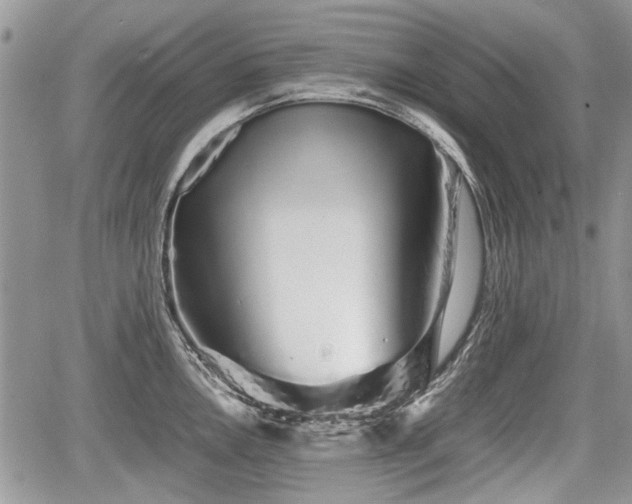 X0000067871146200604171218