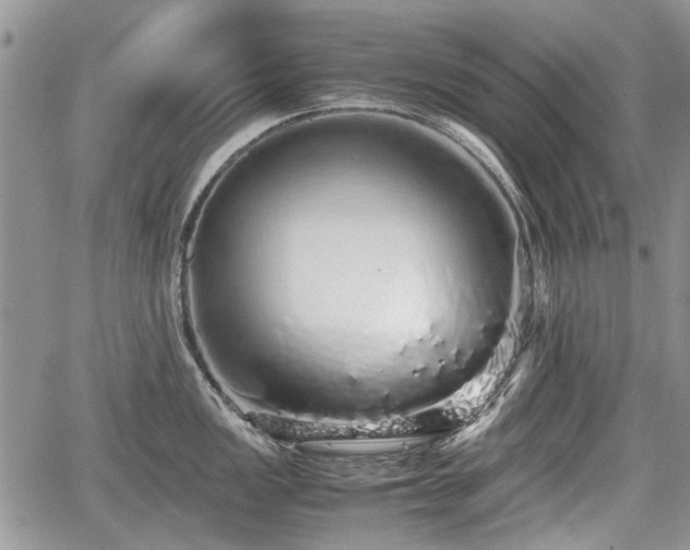 X0000067871149200604171218