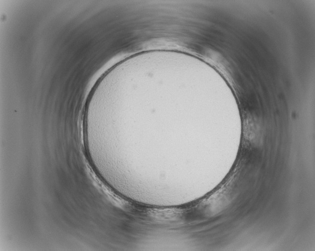 X0000067871150200604171218