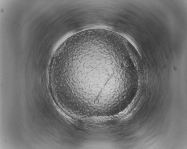 X0000067871151200604171218