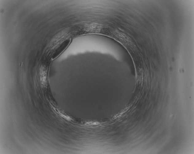 X0000067871154200604171217