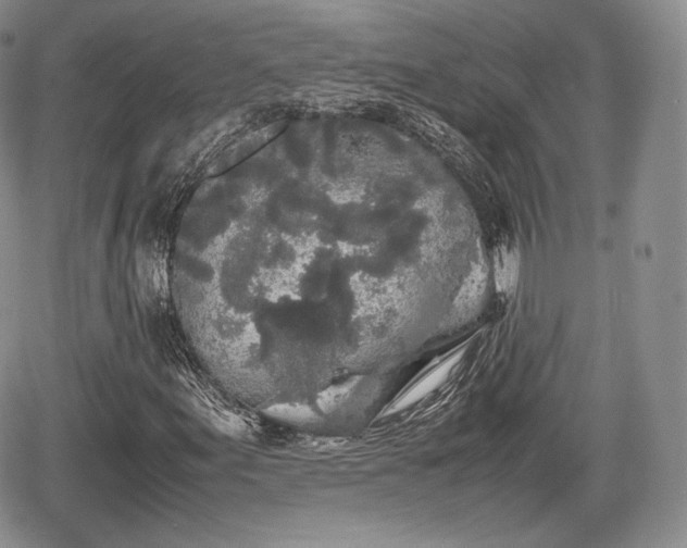 X0000067871155200604171217