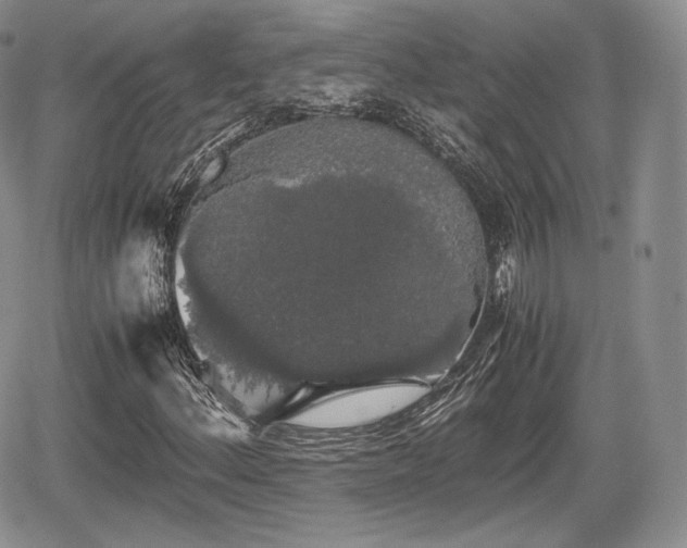 X0000067871156200604171217