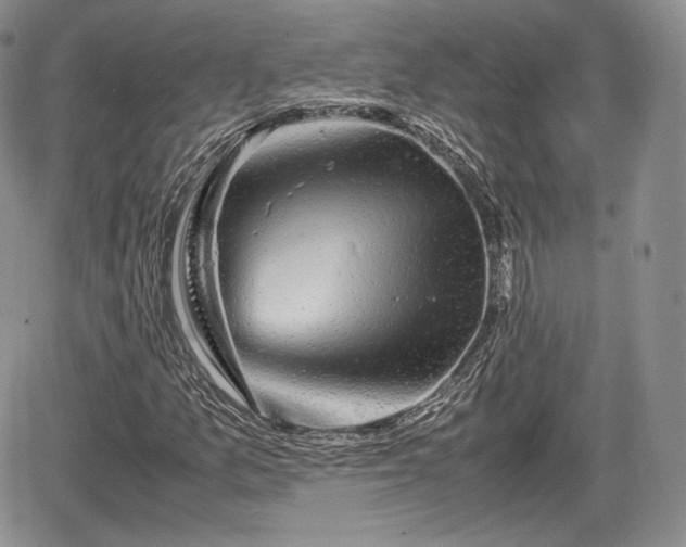 X0000067871157200604171217